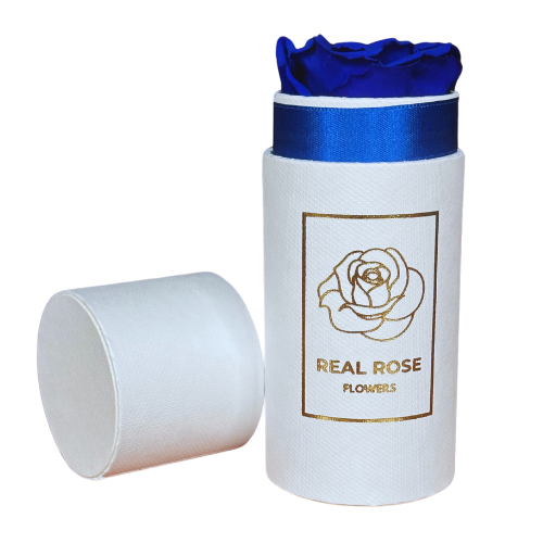 1 Granatowa Wieczna Róża Biały Flowerbox