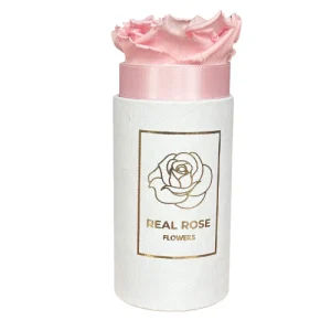 1 różowa Wieczna Róża Biały Flowerbox