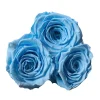 3 Błękitne Wieczne Róże Biały Flowerbox